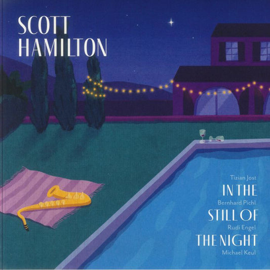 In The Still Of The Night - Vinyl LP vinyl record cover