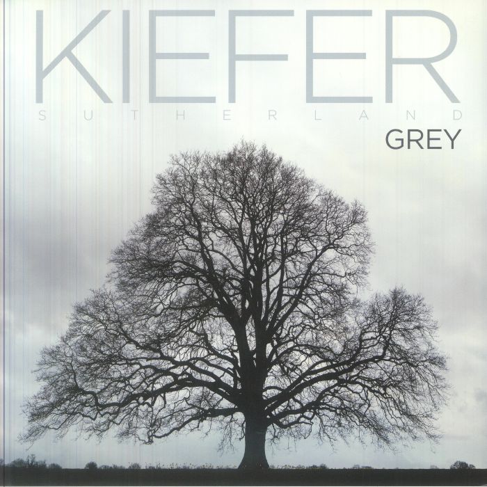 Grey - Vinyl LP vinyl record cover
