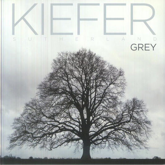 Grey - Vinyl LP vinyl record cover