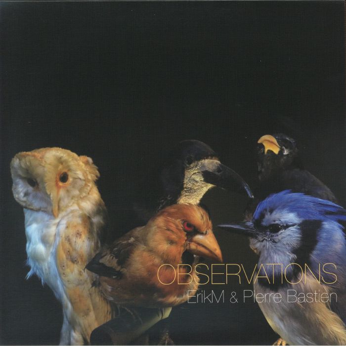 Observations - Yellow Flame Vinyl LP vinyl record cover