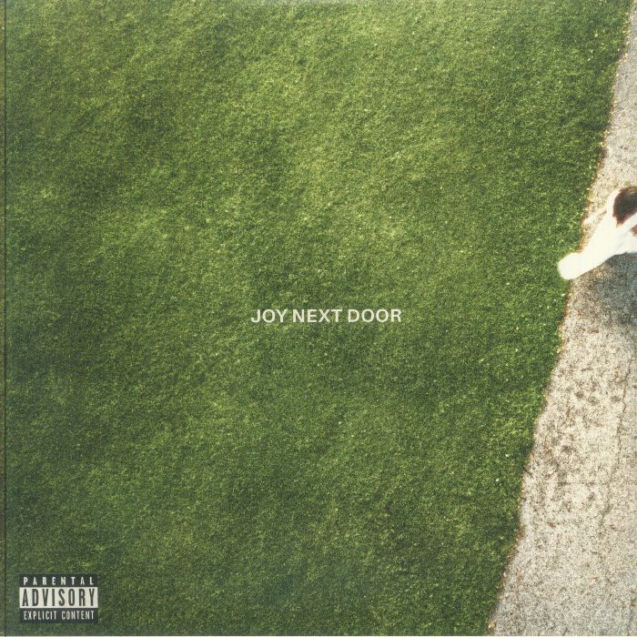 Joy Next Door - Green & White Vinyl LP vinyl record cover