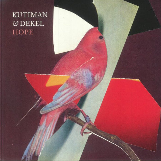Hope - Limited Edition Vinyl LP vinyl record cover