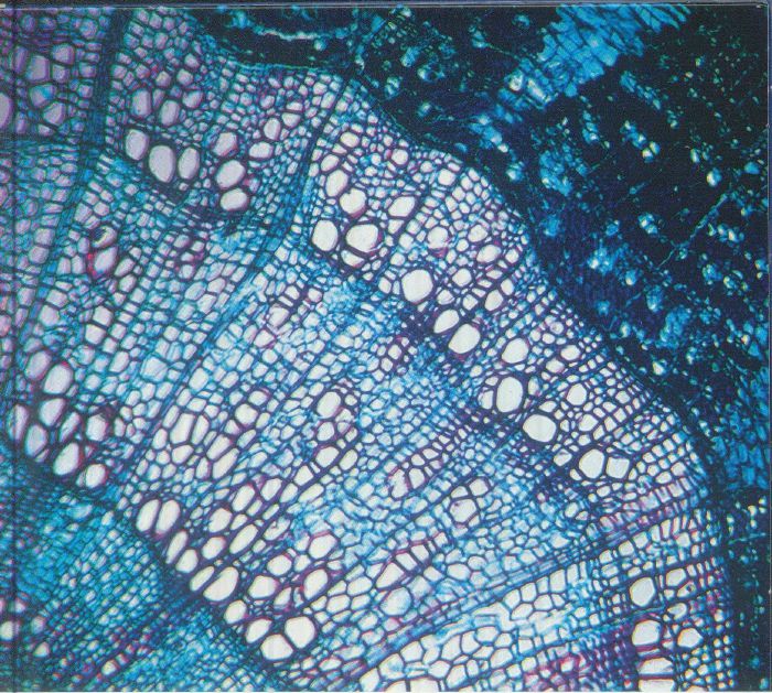 Petite Constellations - Limited Edition CD CD cover