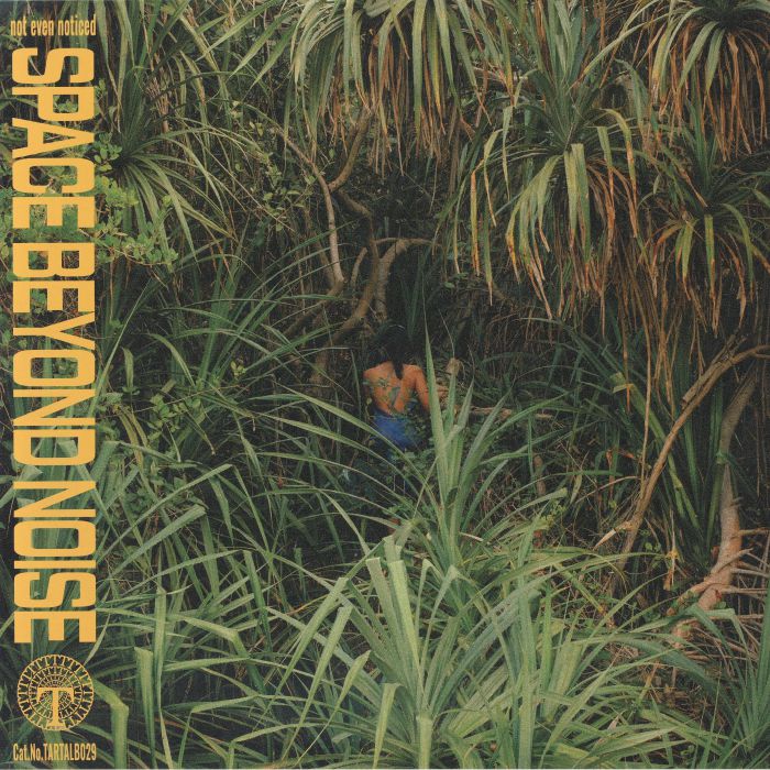 Space Beyond Noise - Limited Edition Vinyl LP vinyl record cover