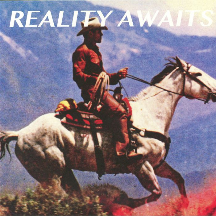 Reality Awaits - Vinyl LP vinyl record cover