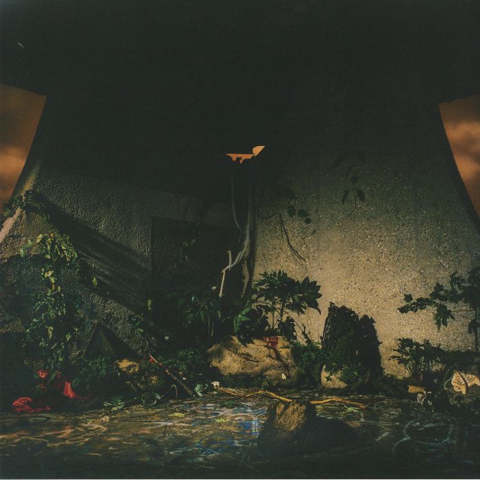 The Plot In You - Vinyl LP vinyl record cover