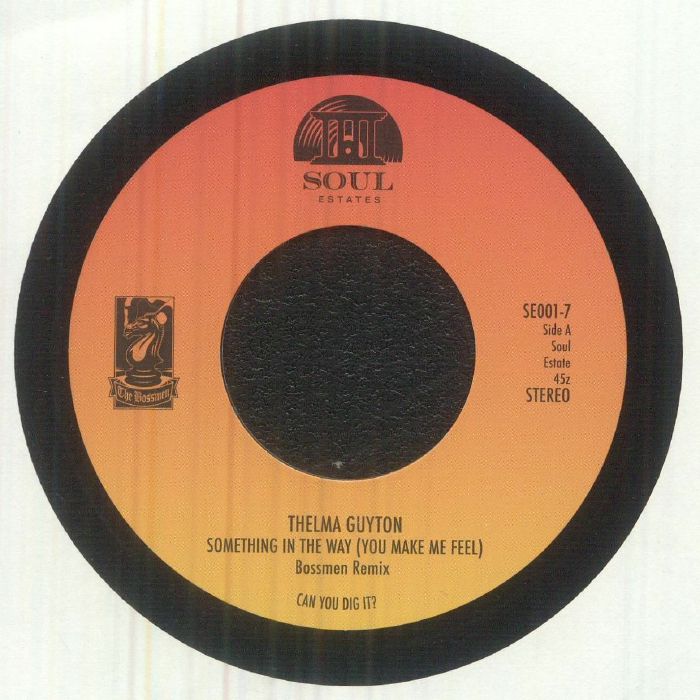 Something In The Way (You Make Me Feel) - Black Vinyl Single vinyl record cover
