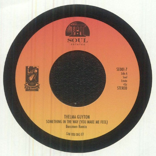 Something In The Way (You Make Me Feel) - Black Vinyl Single vinyl record cover