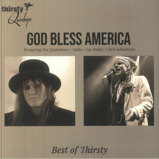God Bless America: Best Of Thirsty - Vinyl LP vinyl record cover