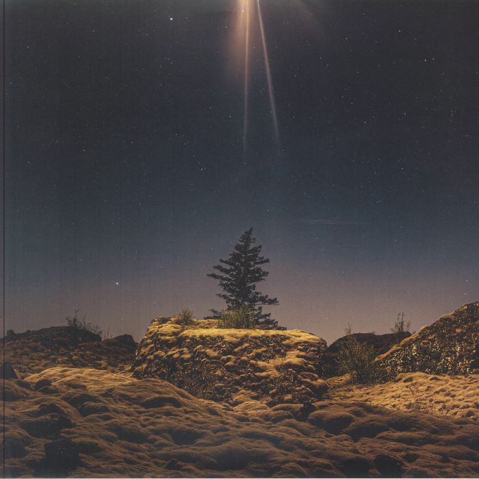The Second Coming Was A Moonrise - Vinyl LP vinyl record cover