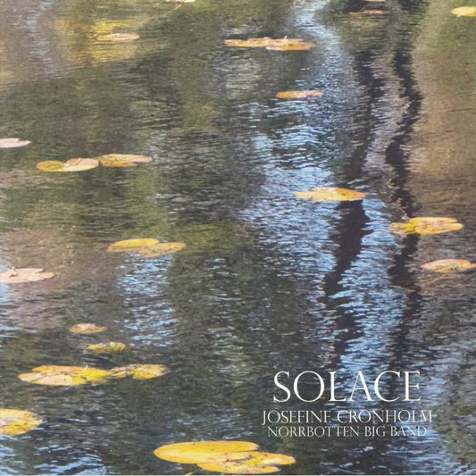 Solace - Gatefold 2xLP vinyl record cover