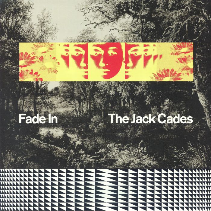 Fade In - Vinyl LP vinyl record cover