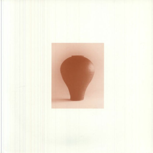 A Distracted God - Vinyl LP vinyl record cover