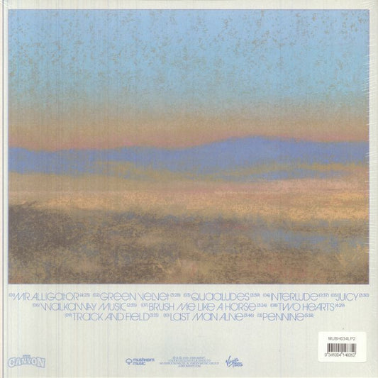 The Canyon - Orange Vinyl LP vinyl record cover