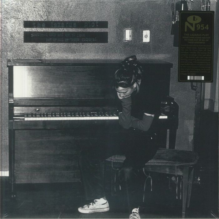 Something Good Has Got To Come Out Of All Of These Goodbyes - Vinyl LP vinyl record cover