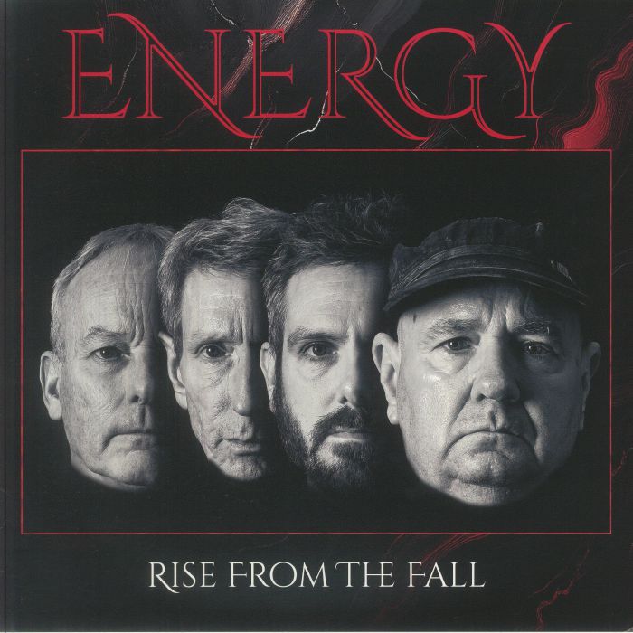 Rise From The Fall - Vinyl LP vinyl record cover