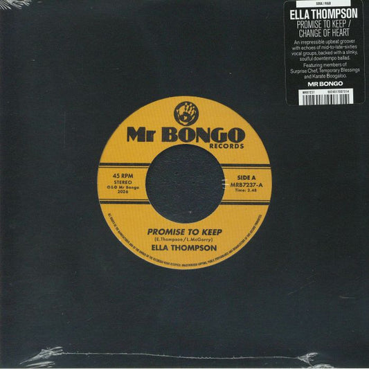 Promise To Keep - Vinyl Single vinyl record cover