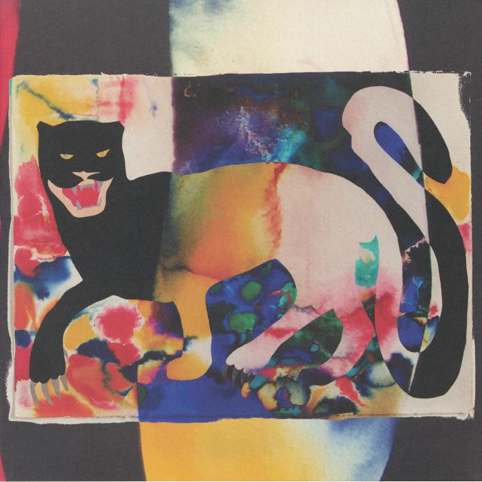 Remain - Vinyl LP vinyl record cover