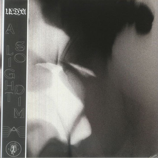 A Light So Dim - 2xLP vinyl record cover