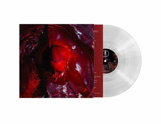 Not Here Not Gone - Limited Clear Vinyl LP vinyl record cover