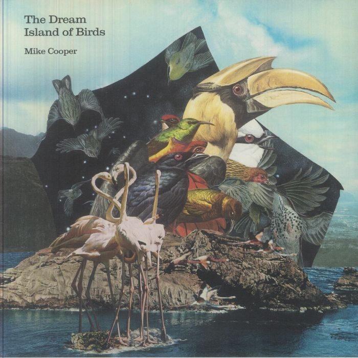 Dream Island Of Birds - Vinyl LP vinyl record cover
