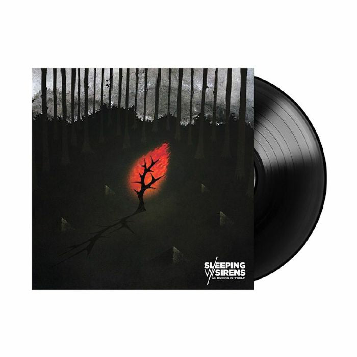 An Ending In Itself - Vinyl LP vinyl record cover