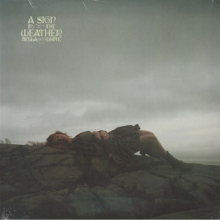 A Sign In The Weather - Vinyl LP vinyl record cover