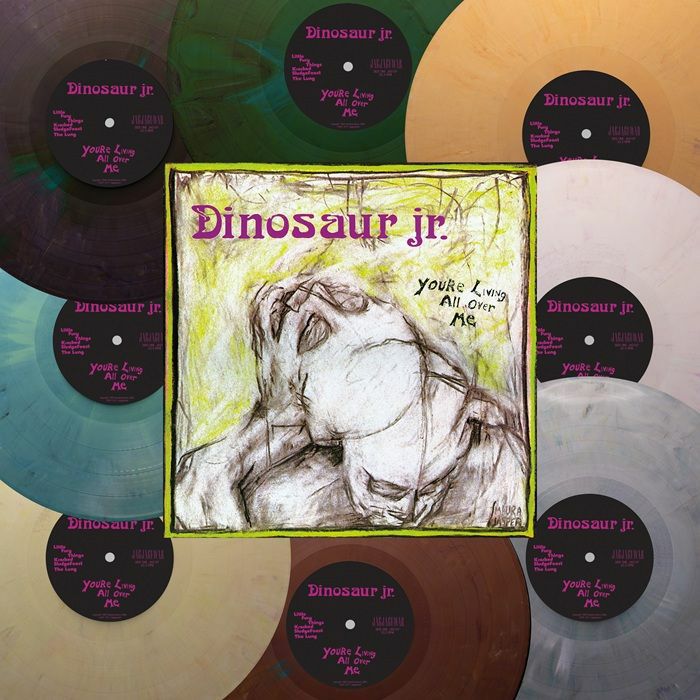 You're Living All Over Me - Revinyl Edition Vinyl LP vinyl record cover