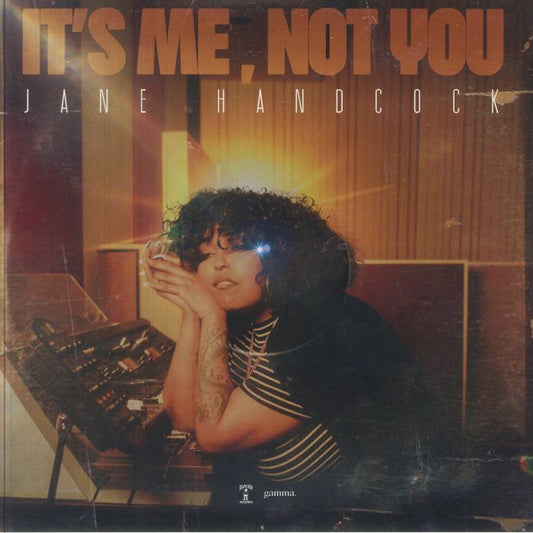 It's Me Not You - 2xLP vinyl record cover