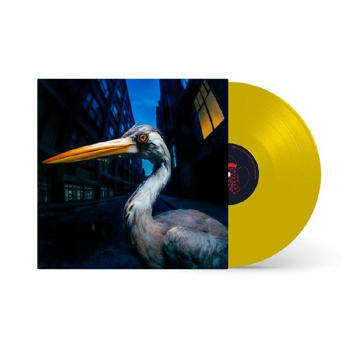 Decoding Birdsong - Limited Edition Yellow Vinyl LP vinyl record cover