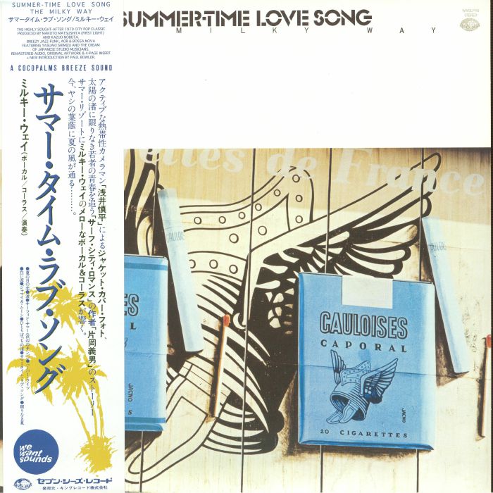 Summer Time Love Song - Vinyl LP vinyl record cover