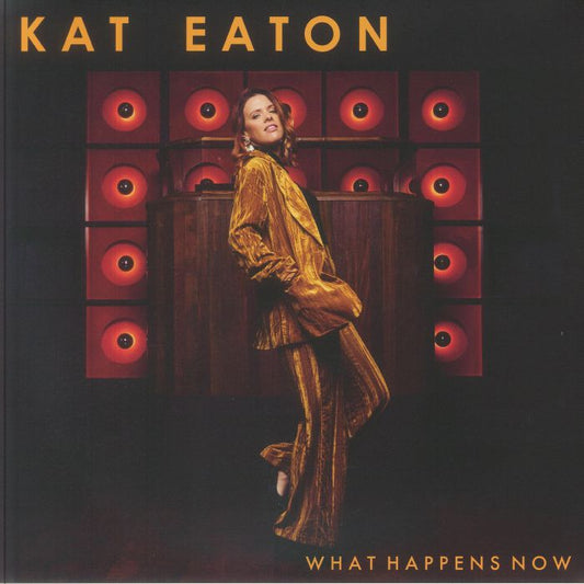 What Happens Now - Vinyl LP vinyl record cover