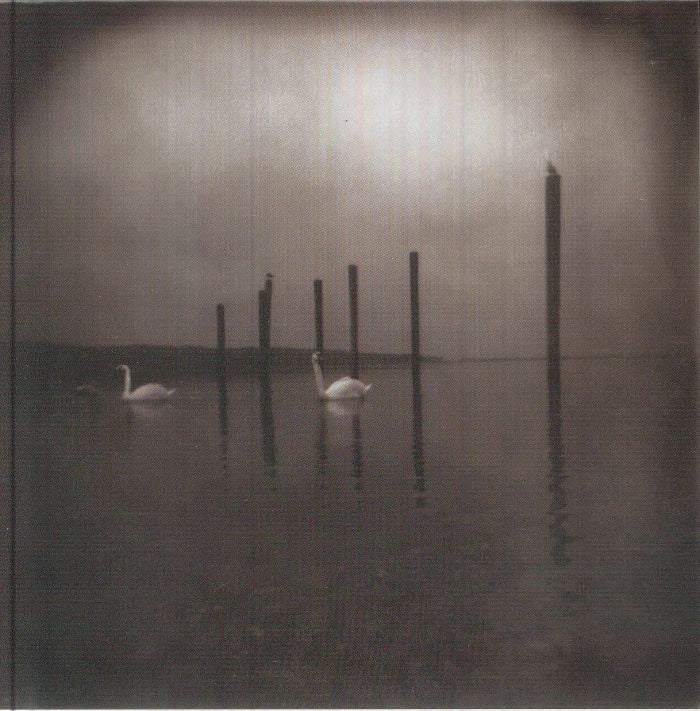 Conference of the Birds - 2026 Reissue CD CD cover