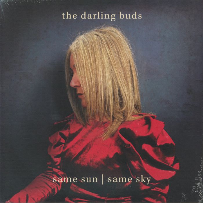 Same Sun / Same Sky - Vinyl LP vinyl record cover