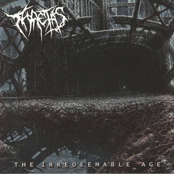 The Irredeemable Age - Vinyl LP vinyl record cover