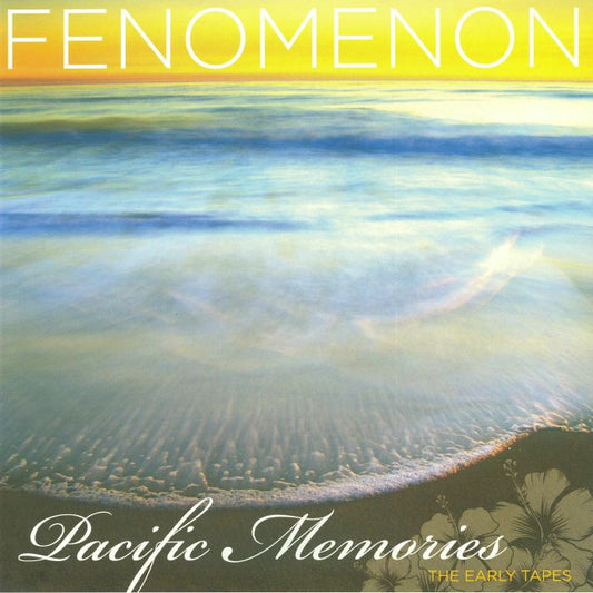 Pacific Memories: The Early Tapes - 20th Anniversary 2xLP vinyl record cover