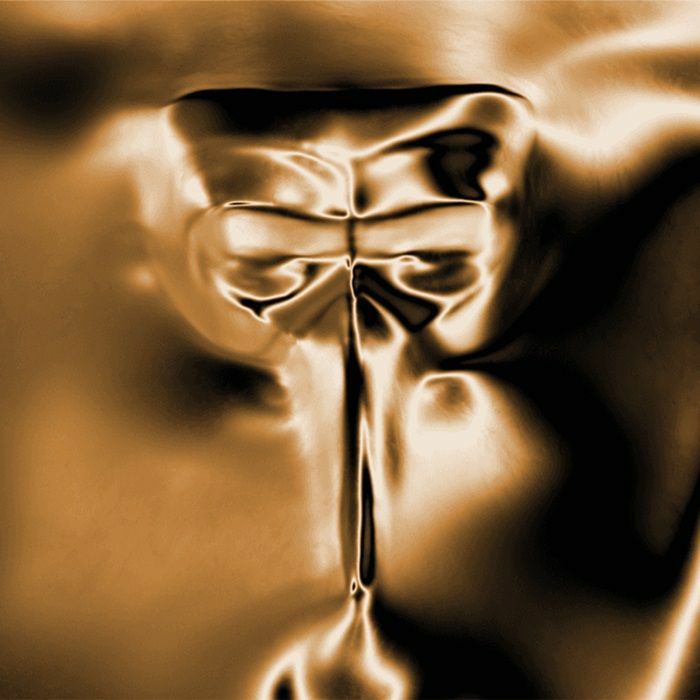 Wanderer - Limited Edition Black & Gold Vinyl LP vinyl record cover