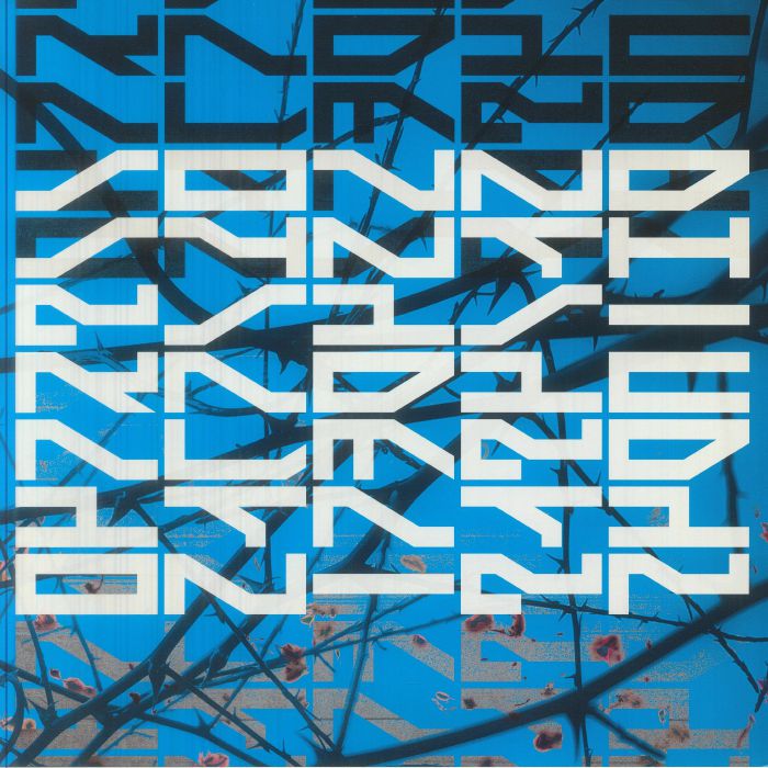 Radical Meditation - Vinyl EP vinyl record cover