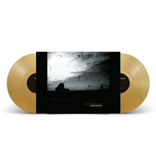 Insomniac Doze - 20th Anniversary Limited Edition Gold Vinyl 2xLP vinyl record cover