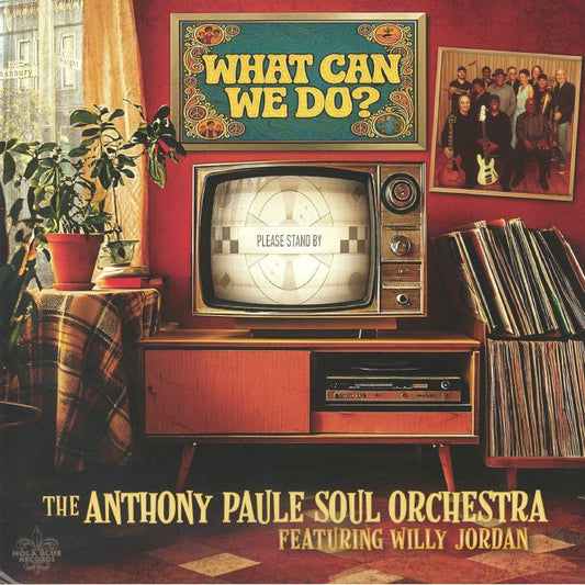What Can We Do? - Clear Brown Vinyl LP vinyl record cover