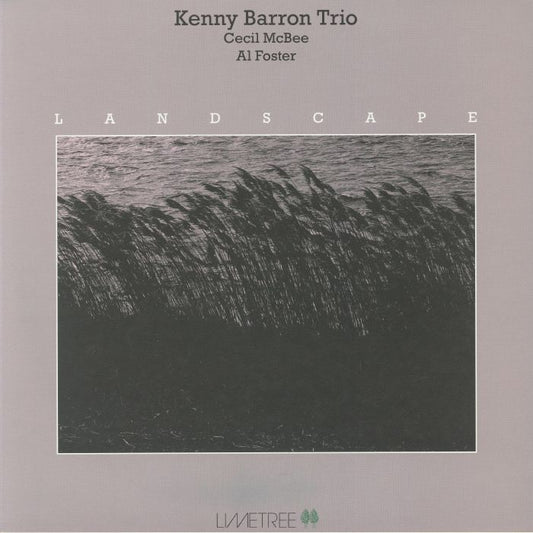 Landscape - Vinyl LP vinyl record cover