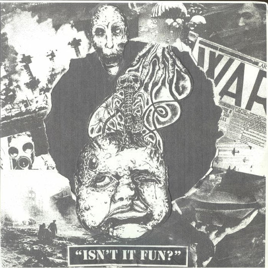 Isn't It Fun? - Vinyl LP vinyl record cover
