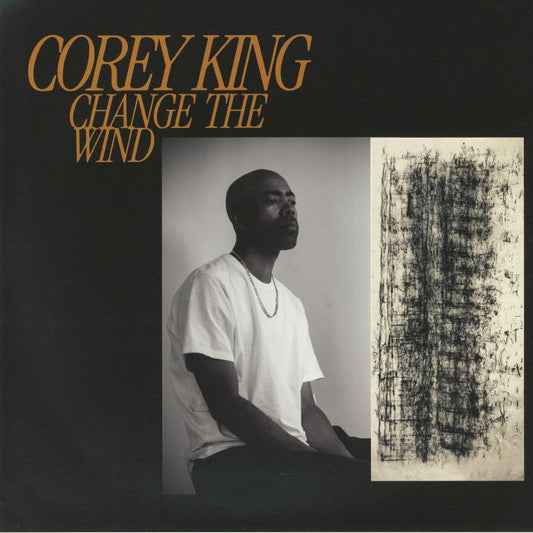 Change The Wind - Vinyl LP vinyl record cover