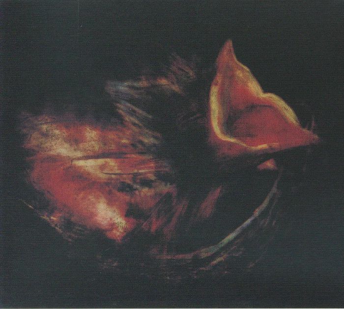 Nobody's Coming To Save You - CD CD cover
