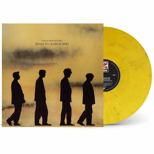 Songs To Learn & Sing - Yellow & Black Marbled Vinyl LP vinyl record cover