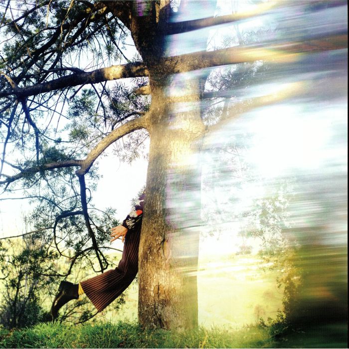 Past The Veil - Clear Vinyl LP vinyl record cover