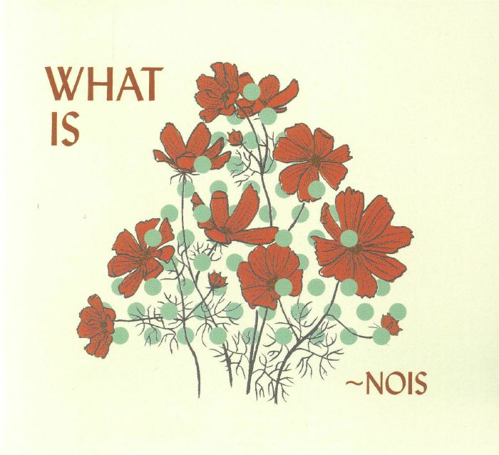 What Is Nois - CD CD cover