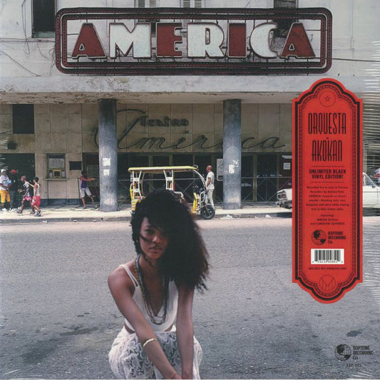 America - Vinyl LP vinyl record cover