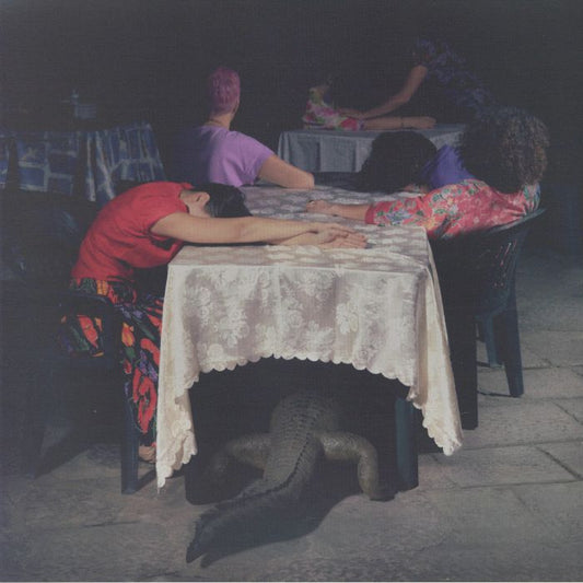 Lero Lero - Vinyl LP vinyl record cover