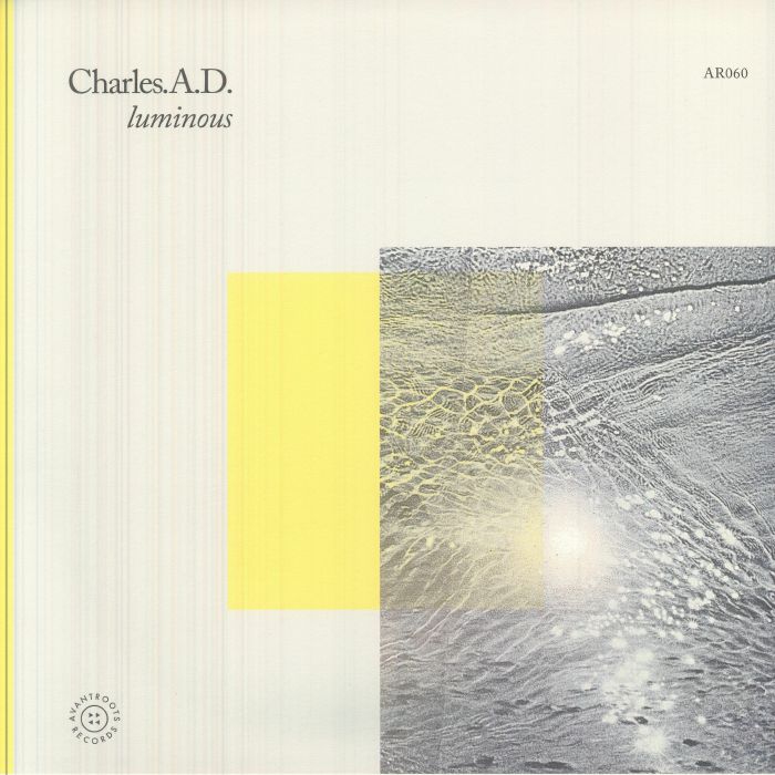 Luminous - 12" Vinyl vinyl record cover